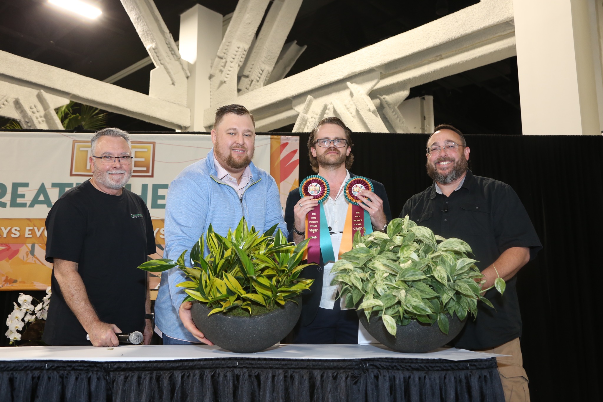 Scindapsus coriaceus Variegated